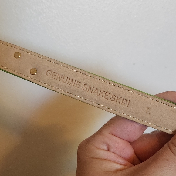 Elegant Green Snake Skin Women's Belt - Picture 2 of 6